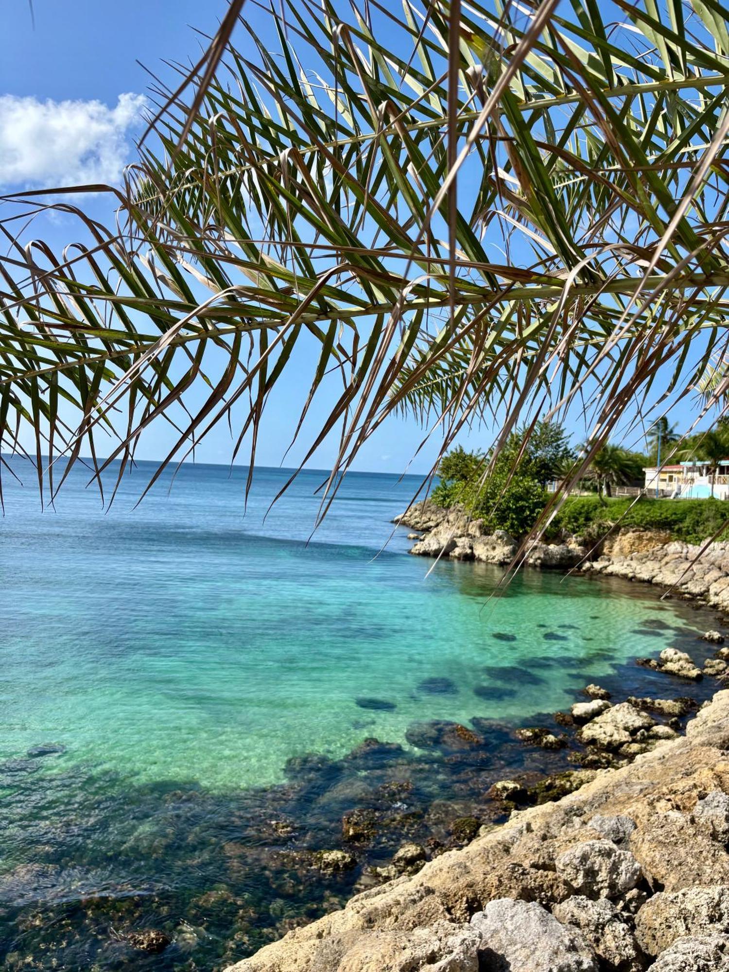 Gite Tournesol - A 2 Min De La Plage Et Du Bourg Anse-Bertrand Buitenkant foto